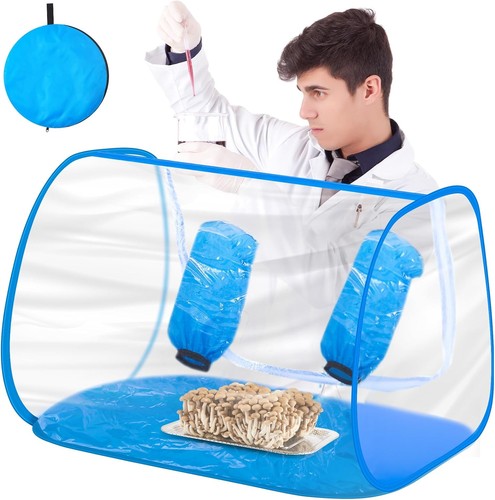 Large still air - large,