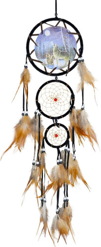 Dream catcher indian style - catcher, oil