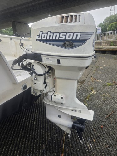 2000 johnson ocean pro - johnson,