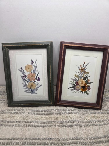 Vtg framed dried - dried, pressed