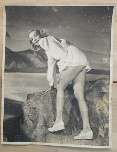 Hollywood beauty marlene - hollywood,