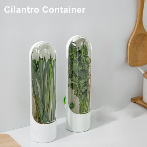 Cilantro container for - cilantro, fridge