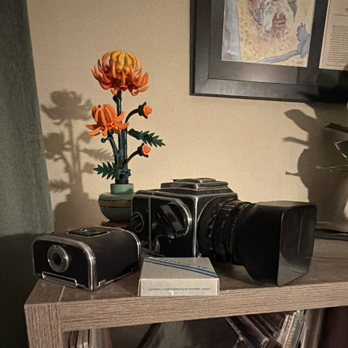 Hasselblad 500 waist - cm,
