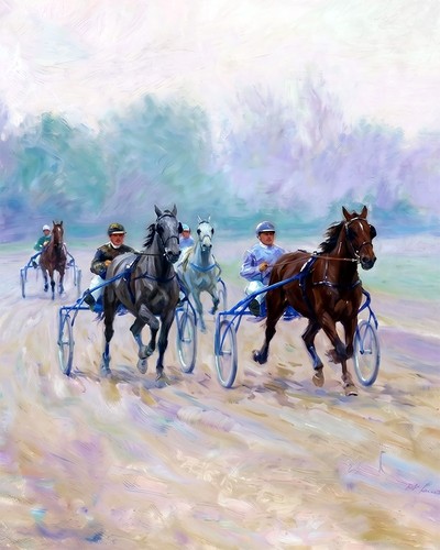 Horse racing harness - horse,