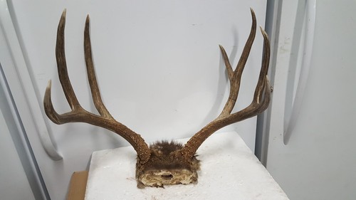 Nice craft brown 4x3 - , colorado