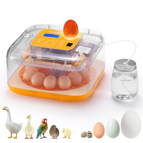 Turbro egg incubator with - incubator,