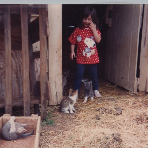 1990s girl cats - kittens, barn