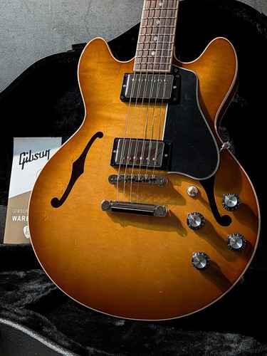 Gibson 339 honey burst - gibson, ~honey