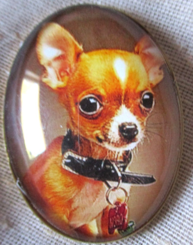 Glass dome pict button - pict,