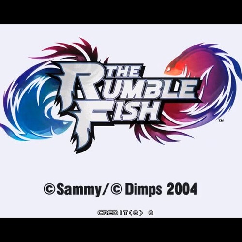Used the rumble - the,