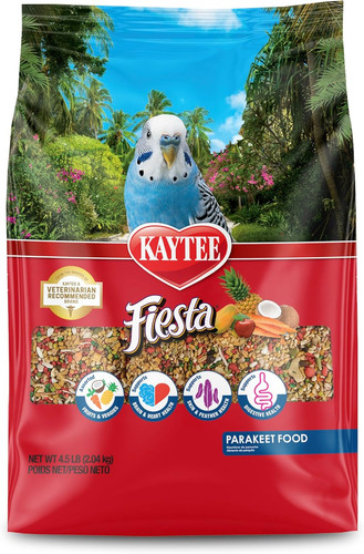 Fiesta parakeet pet bird food - bird,