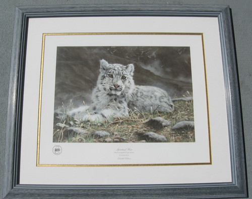 1981 limited snow - 1981,