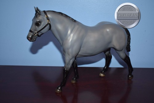 Silver quarter horse gelding - silver-quarter,