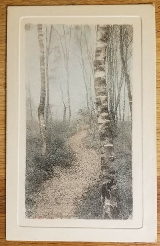 Dirt path through trees - dirt,