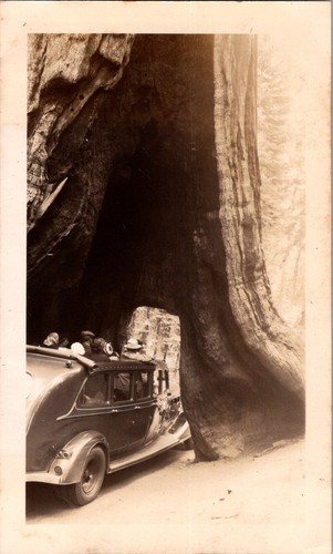 Vintage 1940s photo - drive, thru
