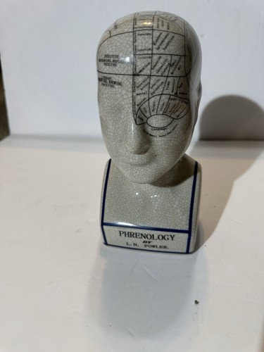 Phrenology head bust n - phrenology, l.n
