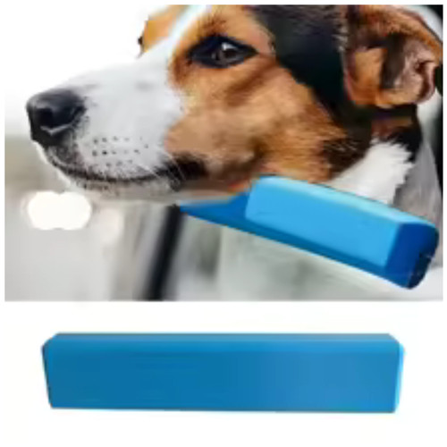 Eva dog car - dog, window