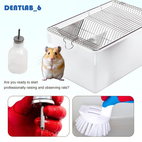 Lab animal cage - cage, water