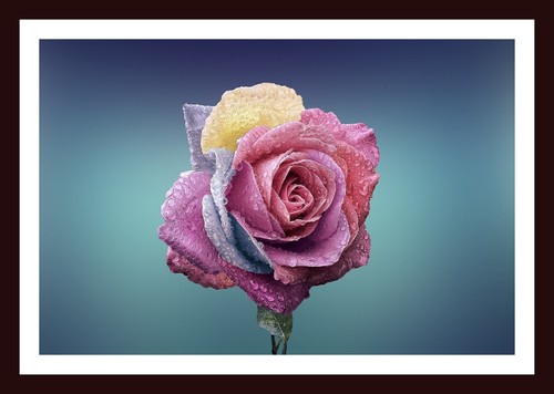 Beautiful flower wall - wall, decor