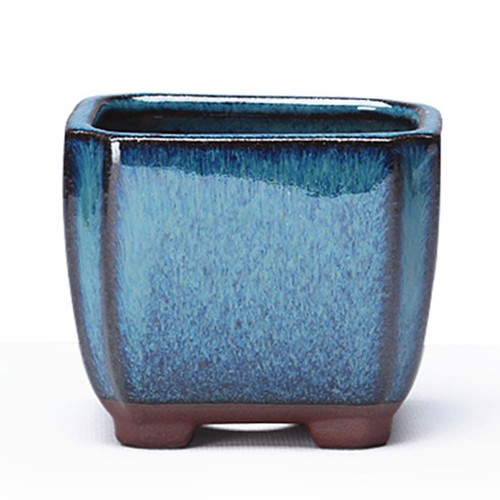 Ceramic glazed succulent - ceramic,