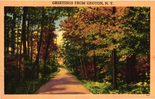 Vintage postcard greetings - vintage,