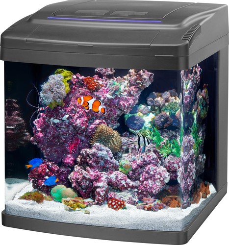 Aquarium tank gallon led - tank,