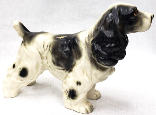 Shafford english springer - shafford?,