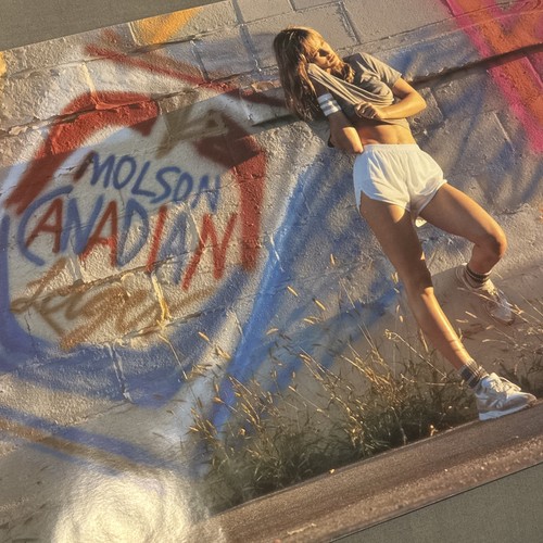 Large molson canadian lager - *large*,