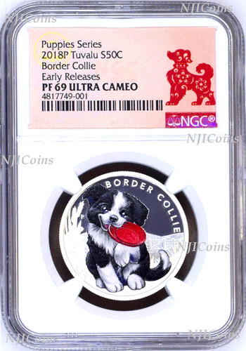 2018 puppies border collie - puppies,