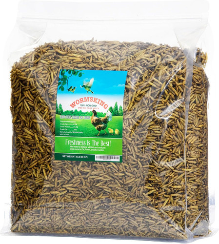 5lb dried black - 5lb,