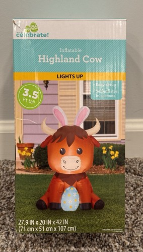 Way celebrate highland - to, cow