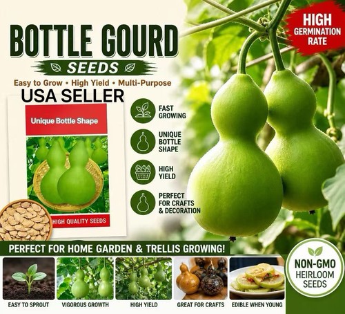 35ct bottle gourd - 35ct,