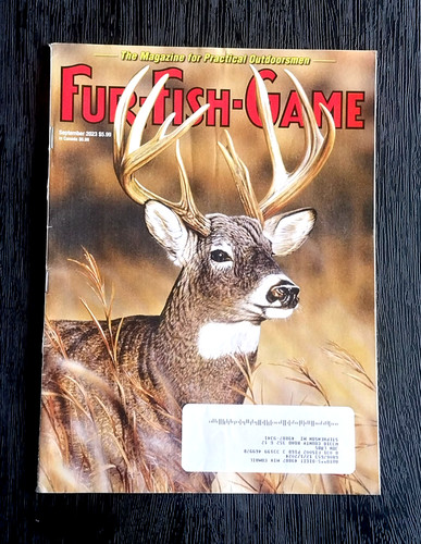 Fur fish game - game, magazine