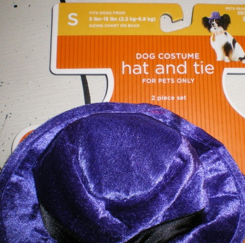Dog costume purple velvet hat - velvet,