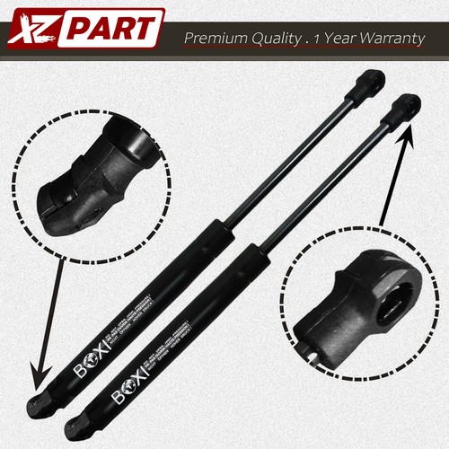 Rear trunk lift supports - trunk,