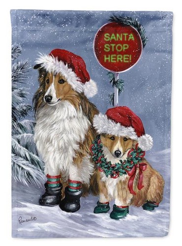 Shetland sheepdog christmas - shetland,