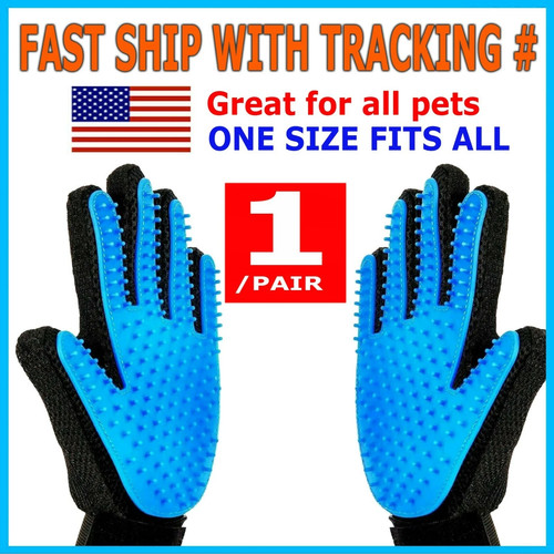 Pair pet dog - 1,