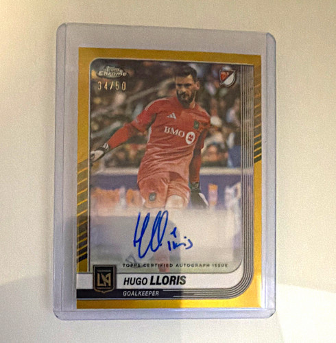 Hugo lloris auto gold - hugo,