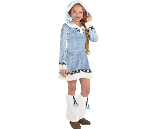 Arctic princess winter - arctic,