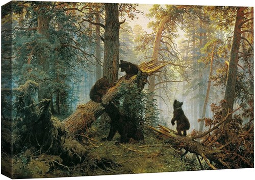 X36 black bears - bears, the