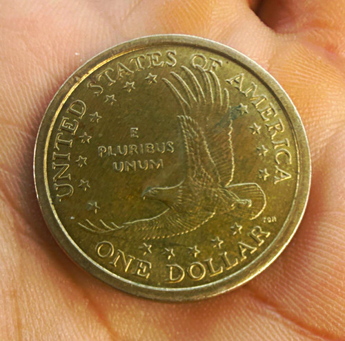 2000 sacagawea native - sacagawea,