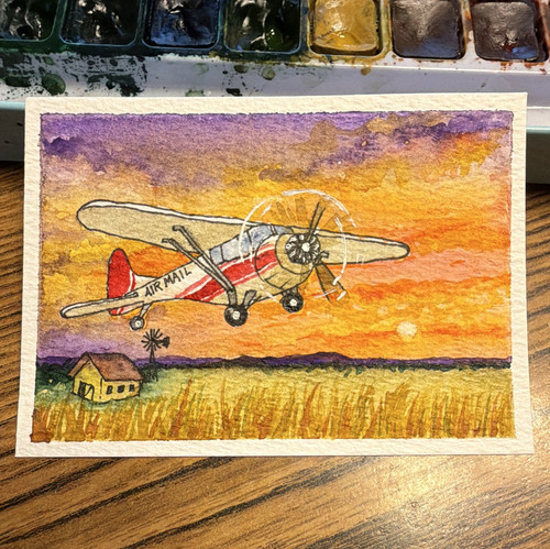 Donna hawk aceo - donna, original