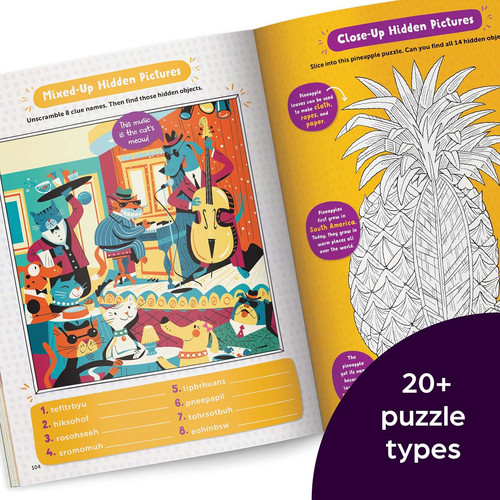 Hidden pictures puzzle book - puzzle,
