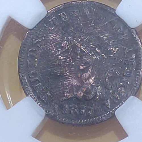 1877 indian princess head cent - indian,