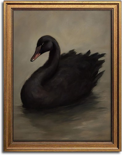 Framed black swan - framed,
