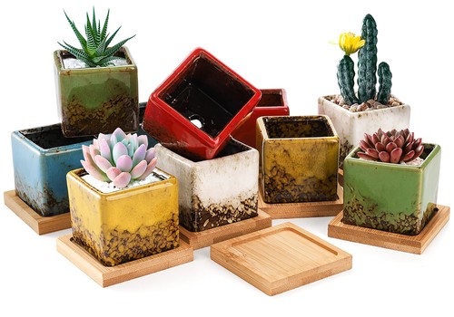 Set succulent planter - succulent,