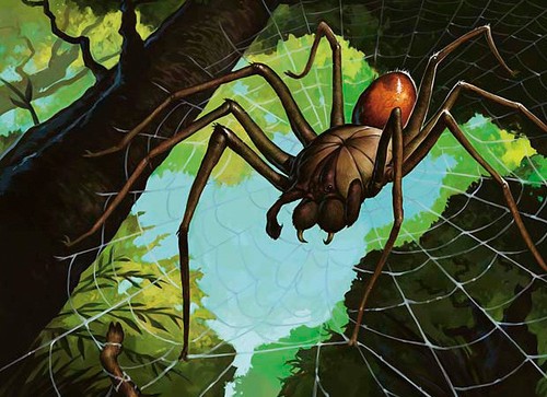 Spider cards lot collection - lot,