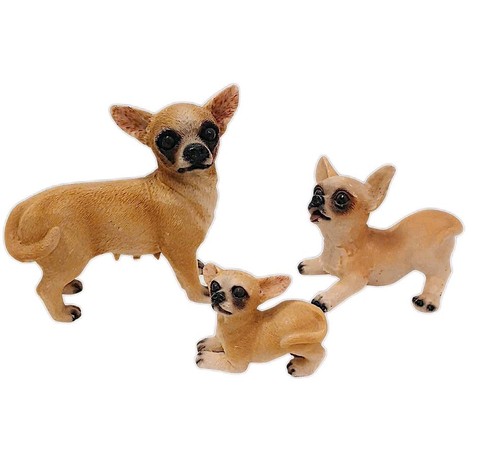 Chihuahua dogs mom - dogs,