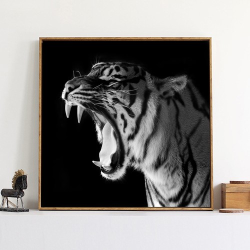 Tiger silk canvas poster - poster, art