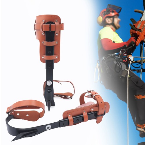 Tree climbing spike kit pole - tree,